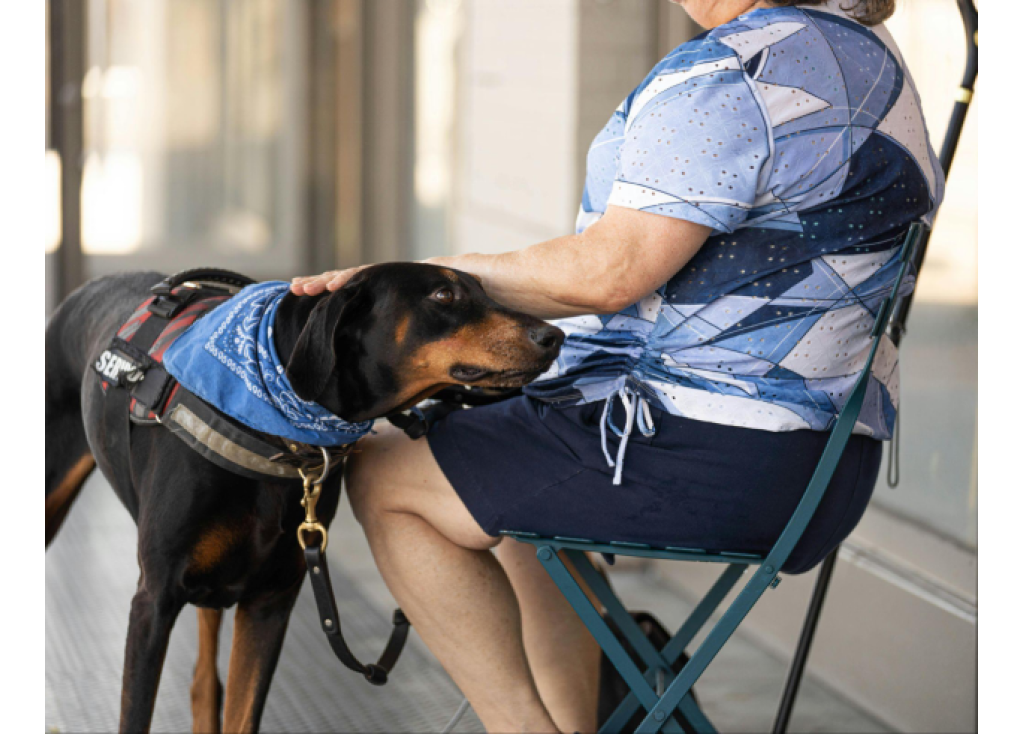 A Pet Care Blueprint for Seniors